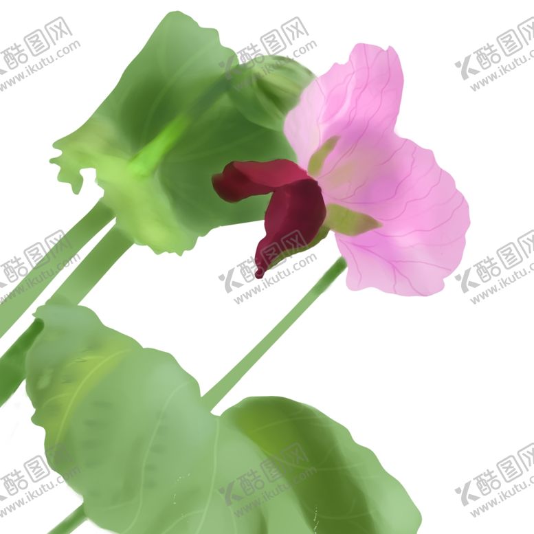 编号：14063907032300471603【酷图网】源文件下载-荷兰豆花