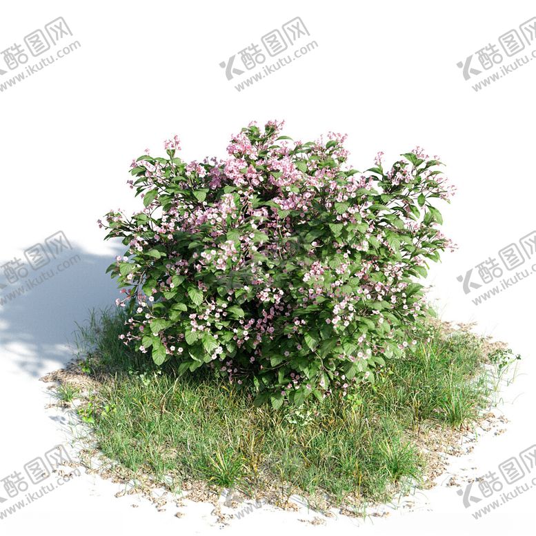 编号：97002502120420597570【酷图网】源文件下载-C4D模型绿色植物