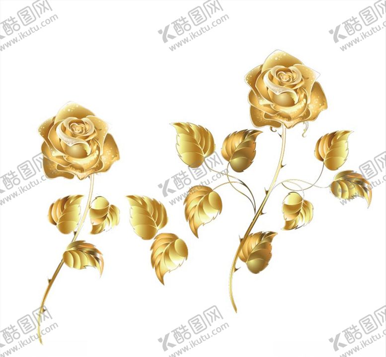 编号：18026310261937181134【酷图网】源文件下载-金色玫瑰
