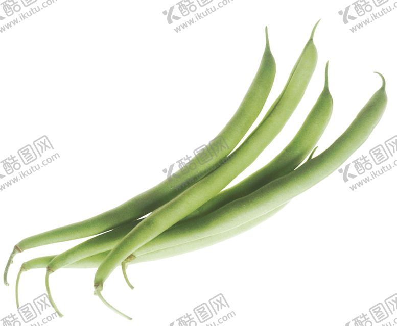 编号：42479805041314584563【酷图网】源文件下载-芸豆