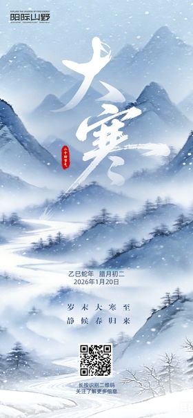 简约大寒水墨海报