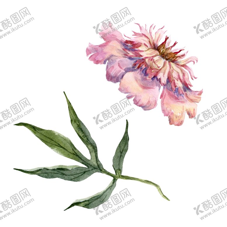 编号：53343009190809054526【酷图网】源文件下载-手绘植物