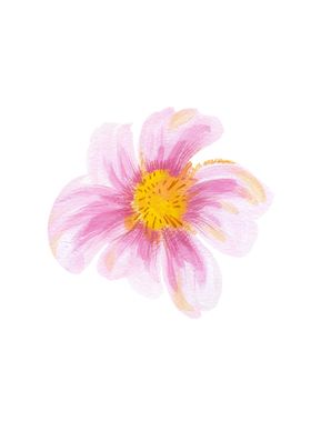水粉花卉素材花型