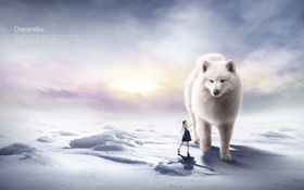 梦觉创意动物合成图片