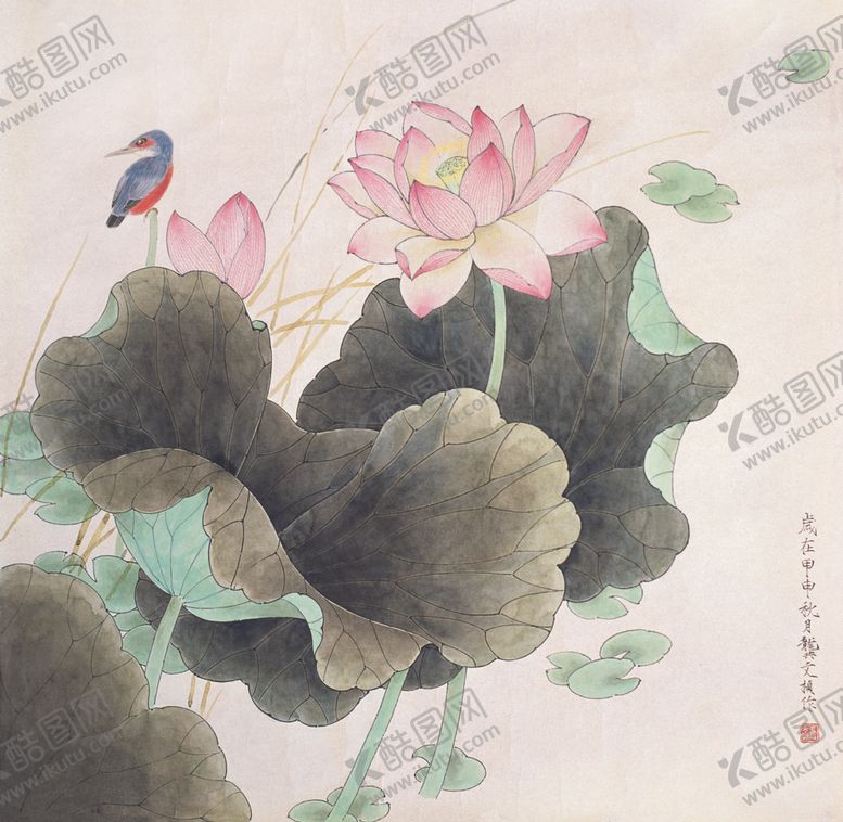 编号：21962009291621278892【酷图网】源文件下载-荷花