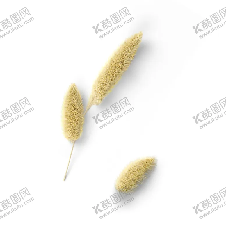 编号：41140606251022394061【酷图网】源文件下载-蒲草