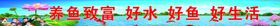 编号：39426109242002531472【酷图网】源文件下载-拒绝非法集资 脚踏实地致富