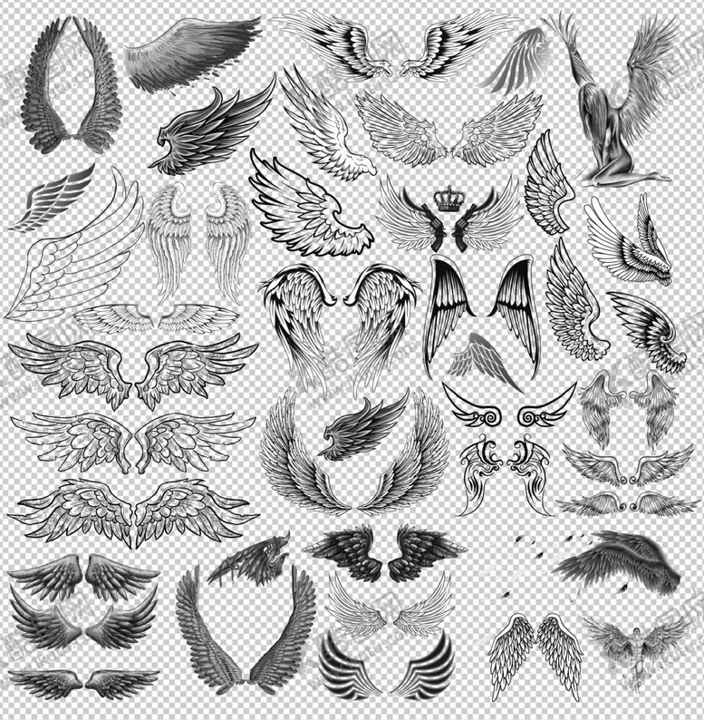 编号：26589909201000211523【酷图网】源文件下载-黑白翅膀