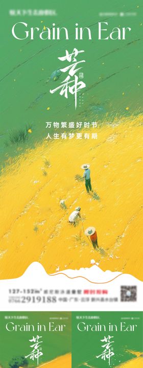 芒种二十四节气田野丰收