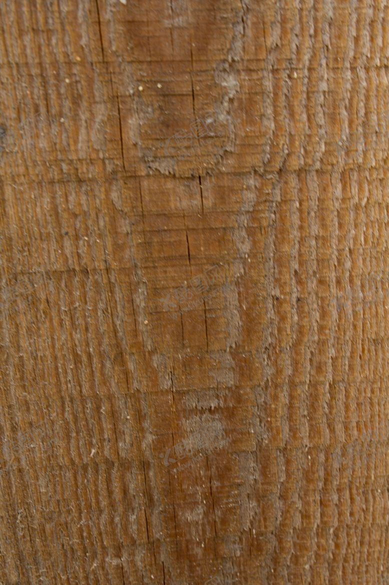 编号：78407110112306206569【酷图网】源文件下载-树皮