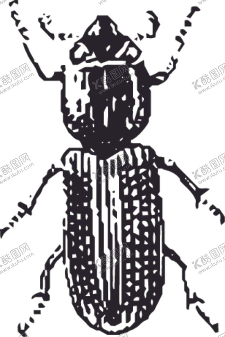 编号：24311407070634414149【酷图网】源文件下载-自然昆虫标本插画