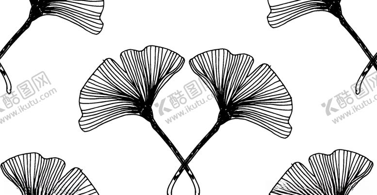 编号：75385309272034217059【酷图网】源文件下载-黑白简约线条植物绘画