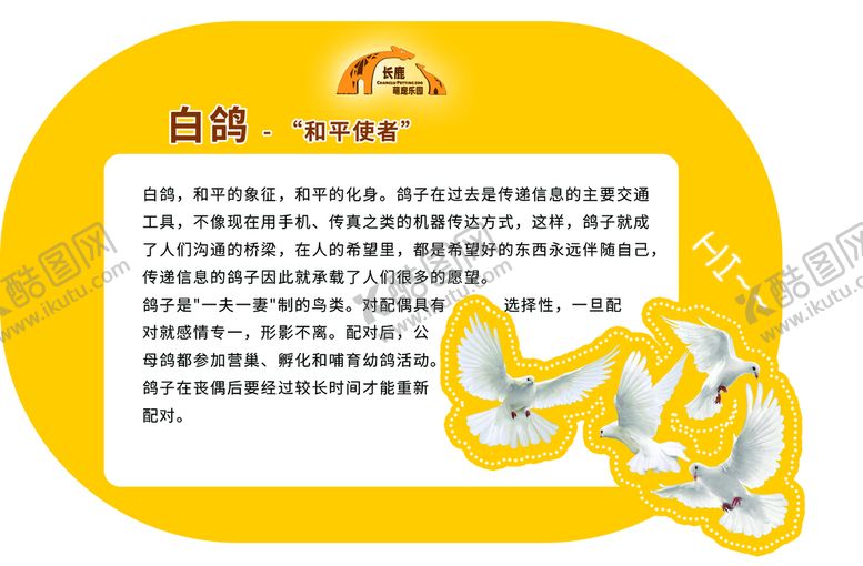 编号：23078810280342336873【酷图网】源文件下载-白鸽介绍