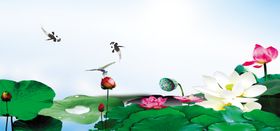 冰爽盛夏