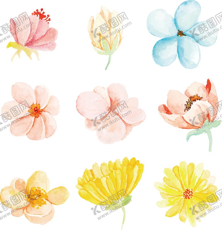 编号：64441510282133451960【酷图网】源文件下载-鲜花素材