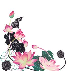 矢量荷花