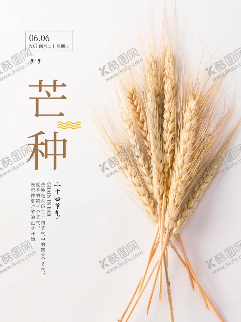 编号：72983609162021173957【酷图网】源文件下载-芒种海报