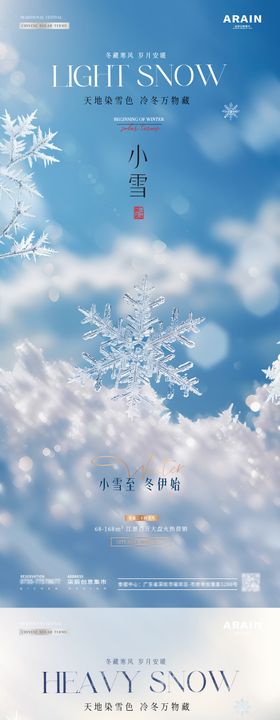 小雪大雪简约雪花海报