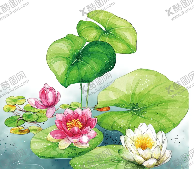 编号：50098810270802119009【酷图网】源文件下载-中国风荷叶荷花绘画