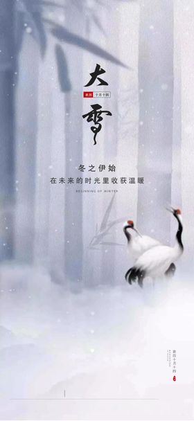 大雪纷飞瑞雪兆丰年