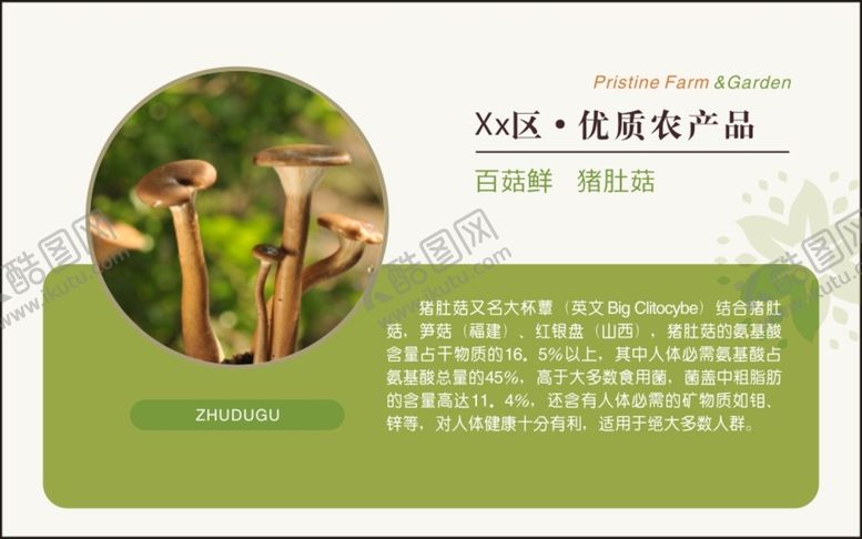 编号：91223701250626432125【酷图网】源文件下载-猪肚菌 生态农产品