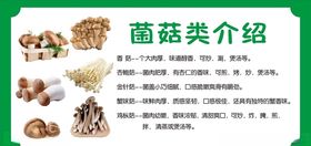 ：菌菇类介绍展板海报
