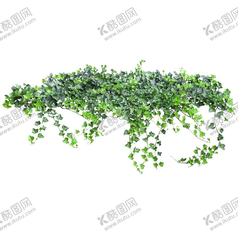 编号：78907207070355204491【酷图网】源文件下载-绿色相框