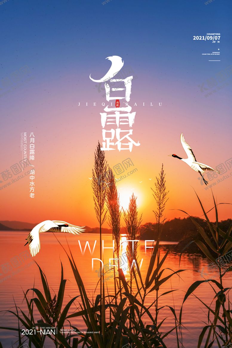 编号：92871309171350311806【酷图网】源文件下载-白露
