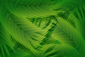 植物背景
