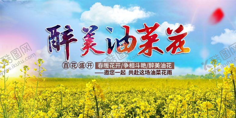 编号：68798204212235282983【酷图网】源文件下载-油菜花