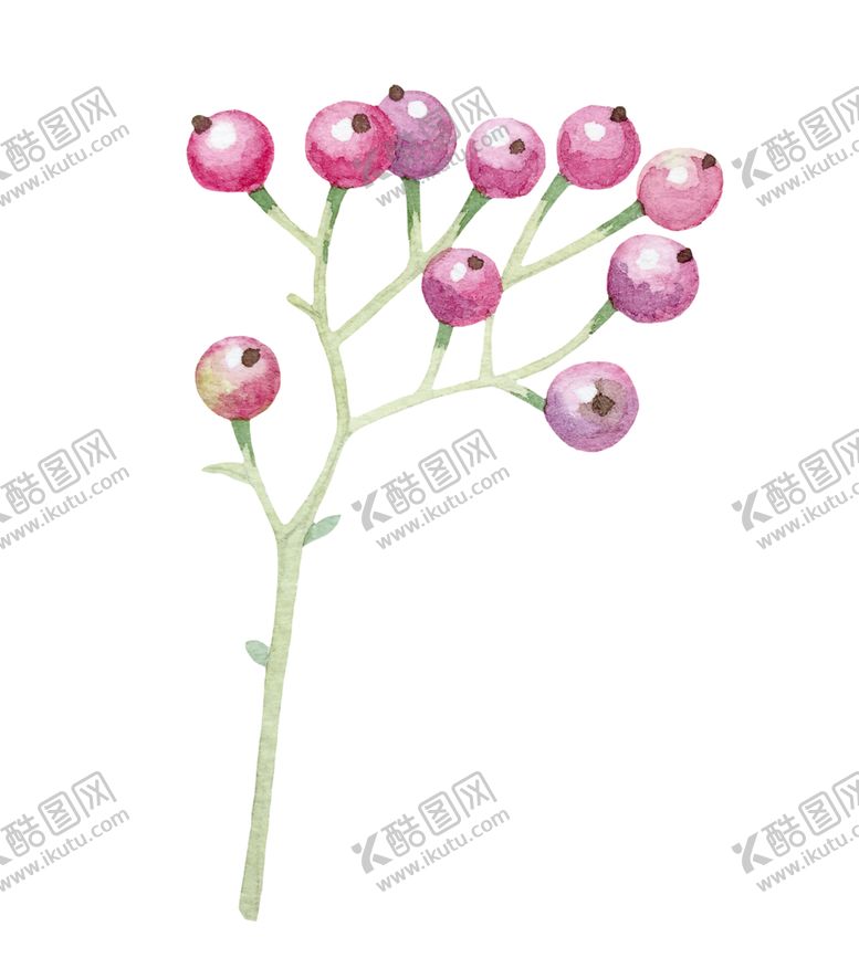 编号：92963706260935244030【酷图网】源文件下载-手绘植物