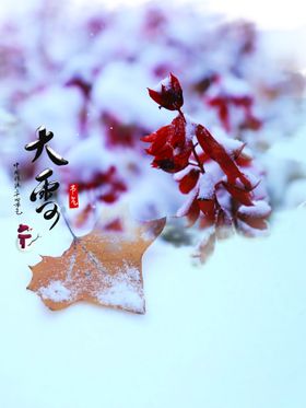 编号：92648810220951344818【酷图网】源文件下载-大雪