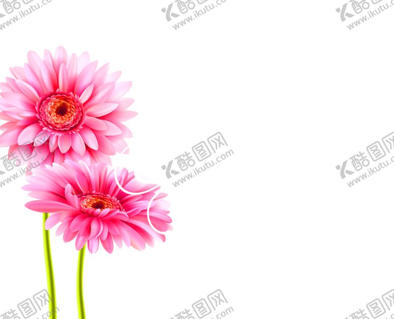 编号：49246010110447519820【酷图网】源文件下载-浪漫素材