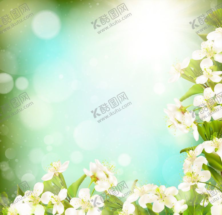 编号：82309510241425446828【酷图网】源文件下载-花卉背景