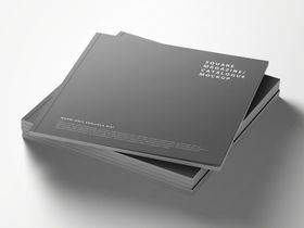书籍杂志样机效果图
