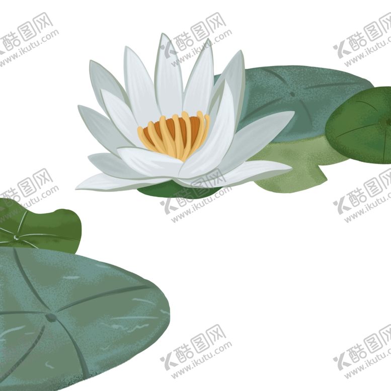 编号：28290509211328557120【酷图网】源文件下载-手绘莲花素材