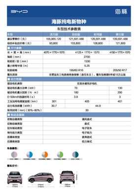 比亚迪海豚技术参数表