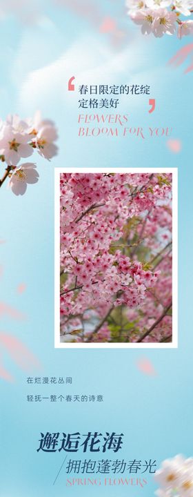 赏花踏青长图