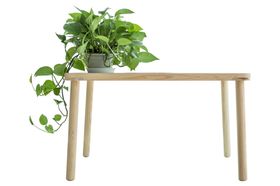 水培绿萝植物绿色家居海报素材