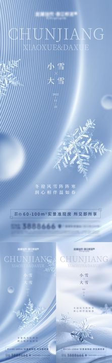 医美大雪小雪节气海报