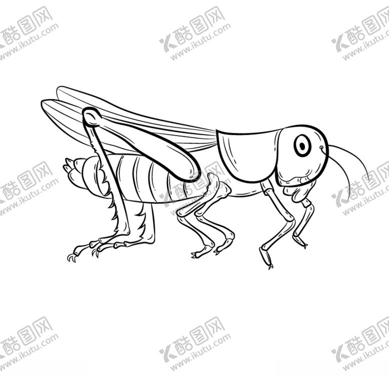 编号：42709710271034363203【酷图网】源文件下载-蝗虫