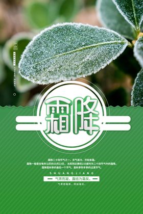 霜降海报节日插画雪人