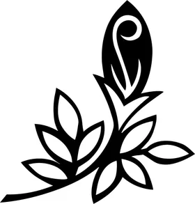黑白手绘植物花瓣面料图案花纹底纹花纹