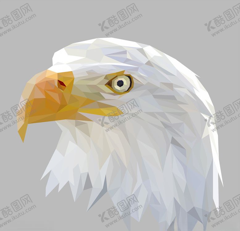 编号：52473210081842144095【酷图网】源文件下载-老鹰头