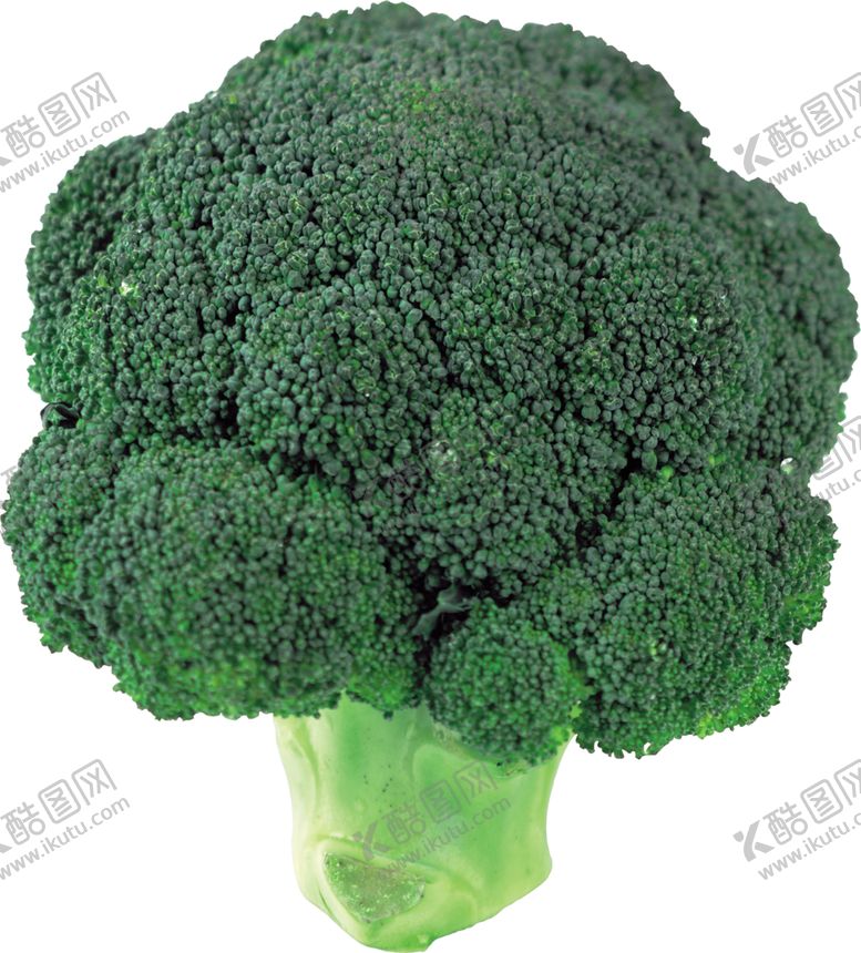 编号：24003001171055549098【酷图网】源文件下载-西蓝花