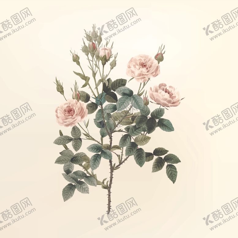 编号：70213207010327445971【酷图网】源文件下载-花纹