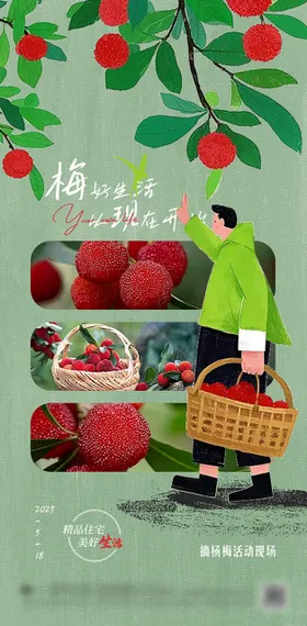 摘杨梅活动海报