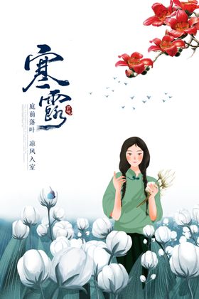 霜降棉花开