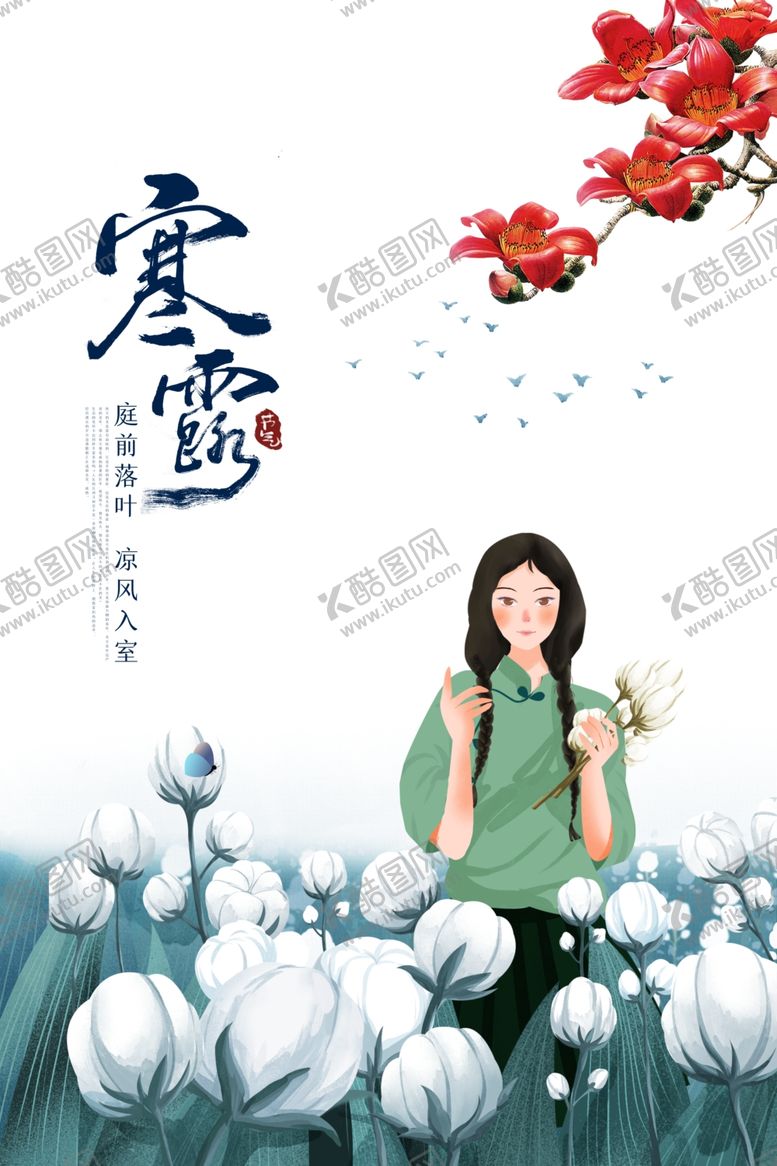 编号：43910107031741425008【酷图网】源文件下载-寒露棉花开