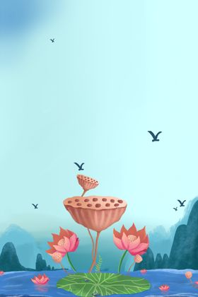 荷花莲蓬静背景墙